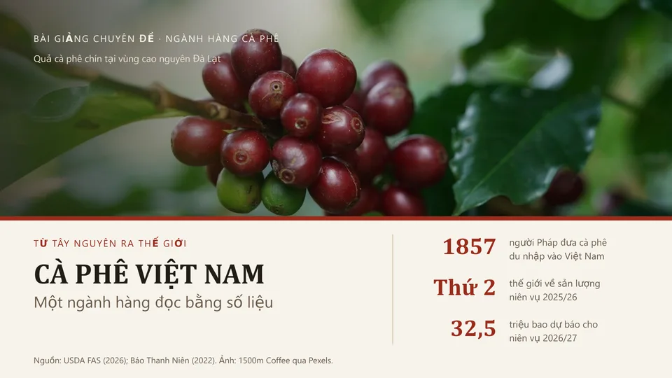 Cà phê Việt Nam: từ Tây Nguyên ra thế giới封面