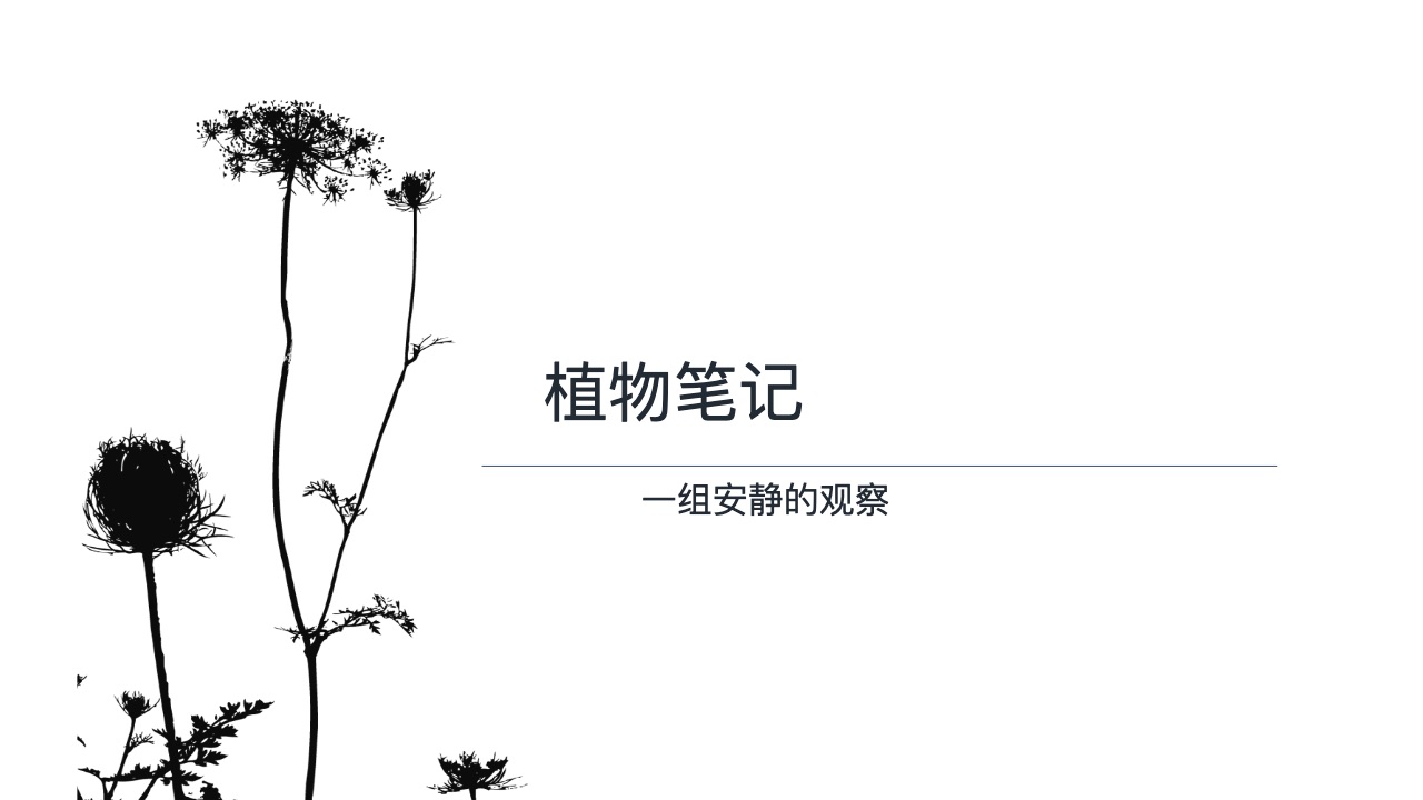 黑白花卉极简风格预览